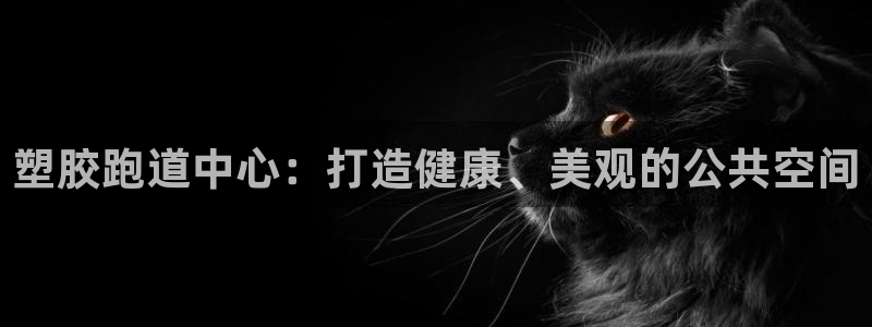 红足1一世：塑胶跑道中心：打造健康、美观的公共空间