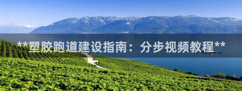 红足一1世皇冠登录：**塑胶跑道建设指南：分步视频教程**