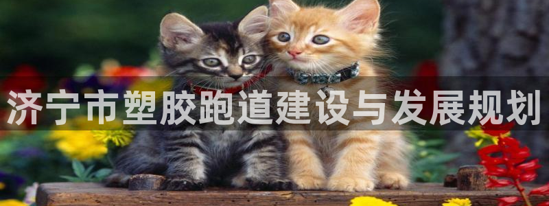 红足一1世666814足球比分网：济宁市塑胶跑道建设与发展规划