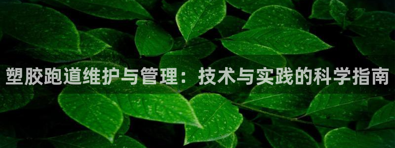红足1世足球网址大全：塑胶跑道维护与管理：技术与实践的科学指南