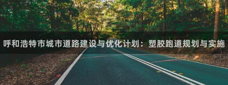 红足一1世：呼和浩特市城市道路建设与优化计划：塑胶跑道规划与实施