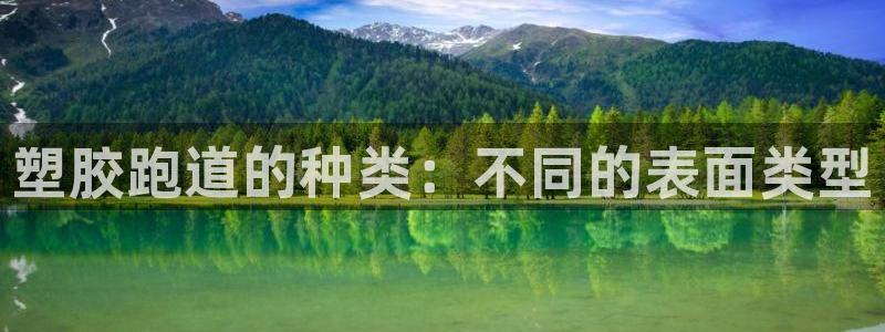 77814红足1世：塑胶跑道的种类：不同的表面类型