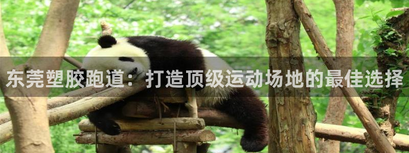 红足一1世666814最新结果