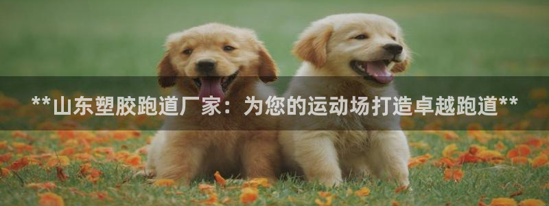 666814红·足一世比分：**山东塑胶跑道厂家：为您的运动场打造卓越跑道**