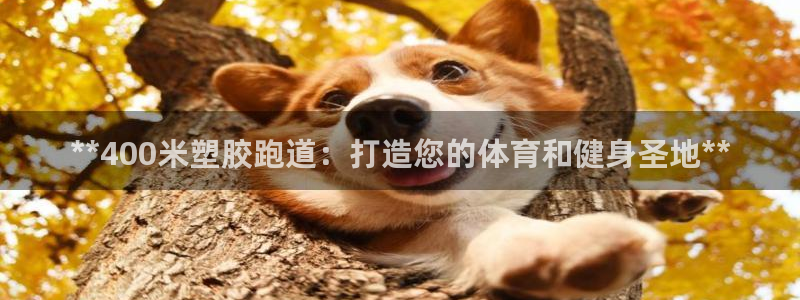 44814红足：**400米塑胶跑道：打造您的体育和健身圣地**