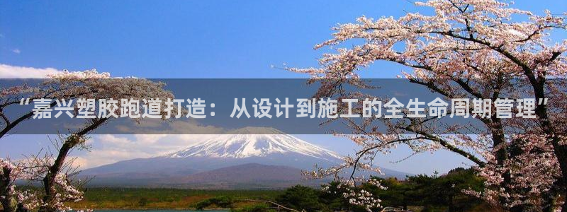 红足1世足球网址大全：“嘉兴塑胶跑道打造：从设计到施工的全生命周期管理”