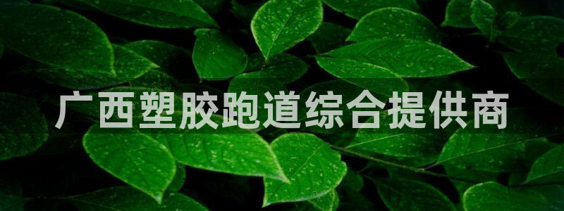 红足一1世官网比分