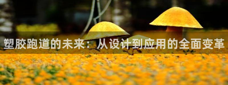 红足一生世:塑胶跑道的未来:从设计到应用的全面变革